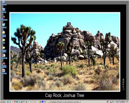 Desktop Joshua Tree
