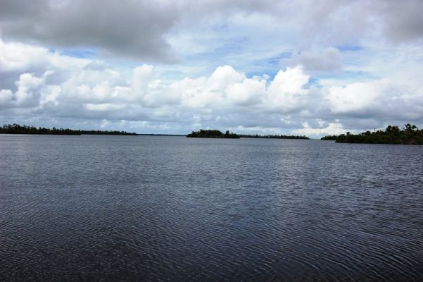 J.N. Ding Darling NWR
