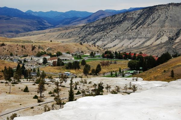 Mammoth Hot Springs Area
