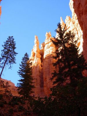 Navajo Loop
