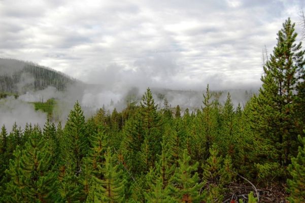 Norris Geyser Basin
