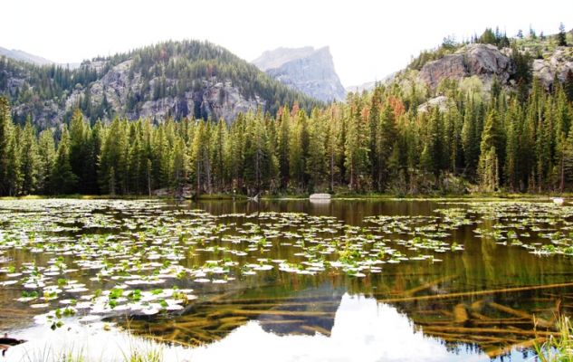 Nymph Lake
