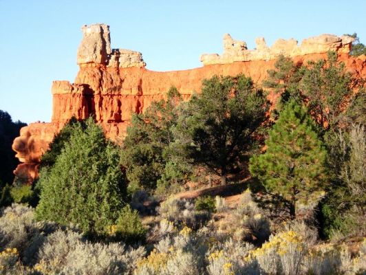 Red Canyon
