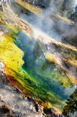 Seismograph Pool
