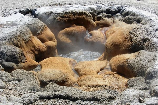 Shell Spring

