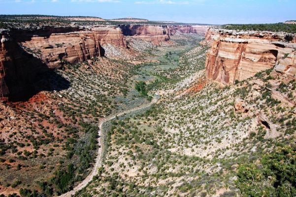 Ute Canyon
