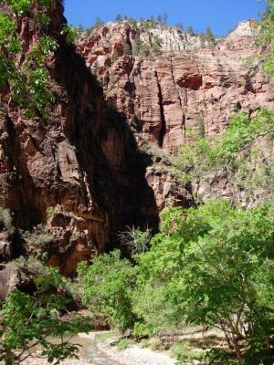 Virgin River Zion
