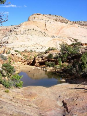Water Tanks
