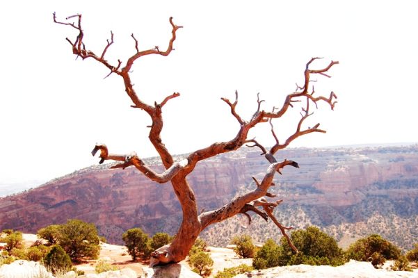 Window Rock Trail
