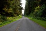 Strasse im Olympic NP