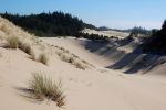 Oregon Dunes