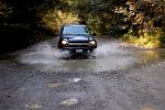 Davison Road, Redwood NP