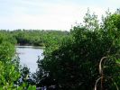 J.N. Ding Darling National Wildlife Refuge.JPG