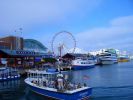 Navy Pier Chicago