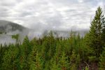 Norris Geyser Basin