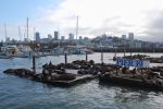 Fishermans Wharf Pier 39