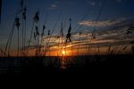 Sonnenuntergang Anna Maria Island