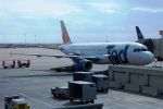 TED Airbus 320