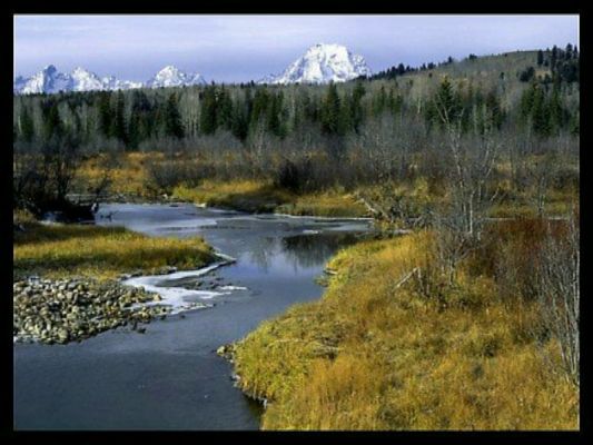 Mooseland - Grand Teton NP,WY
