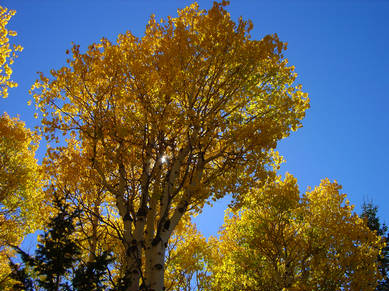 DSC06457.JPG