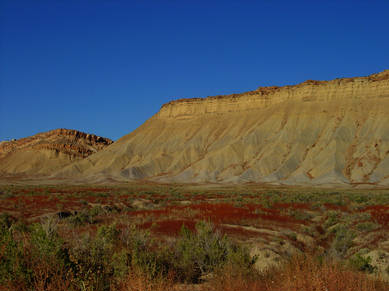 DSC06481.JPG