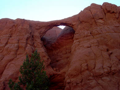 DSC07232.JPG