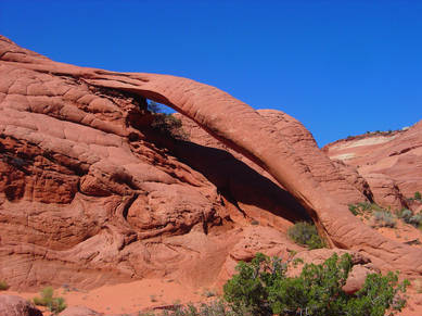 DSC07476.JPG