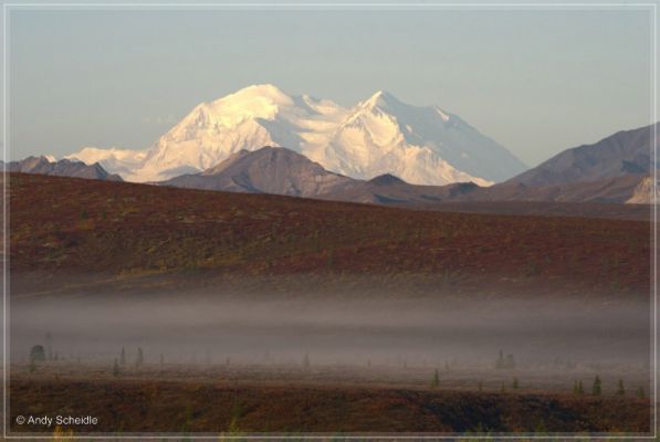 Denali
