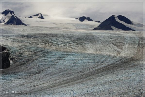 Exit Glacier

