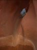 DSC07699.JPG