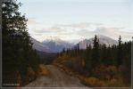 Nabesna Road