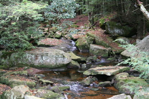 2005_10_12_010.JPG