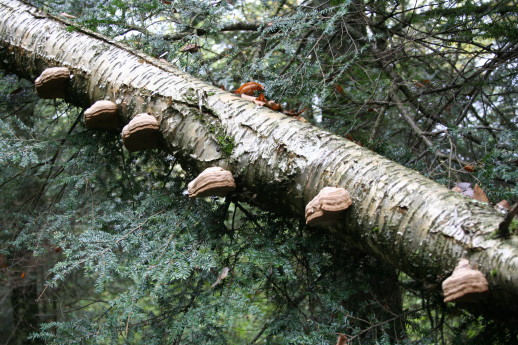 2005_10_12_034.JPG