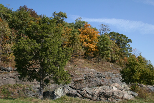 2005_10_18_167.JPG