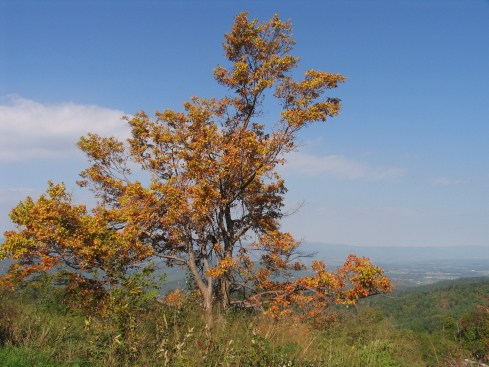 2005_10_18_199.JPG