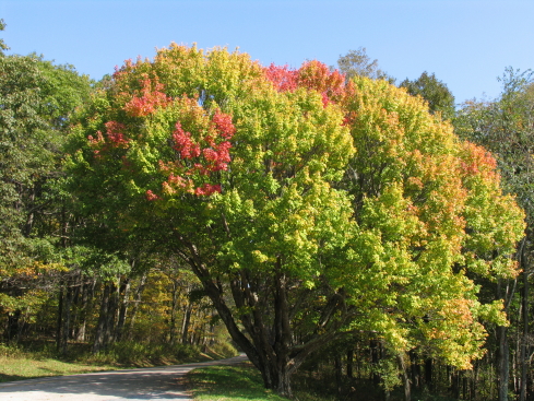 2005_10_18_210.JPG