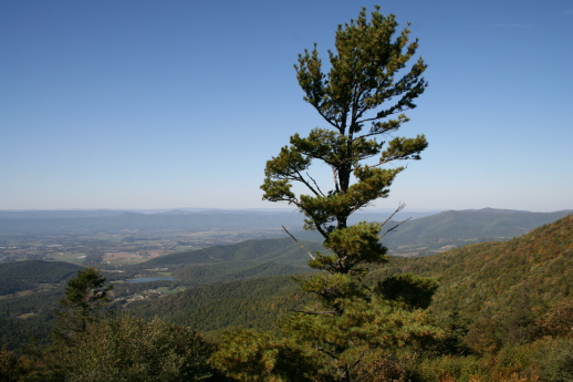 2005_10_18_390.JPG