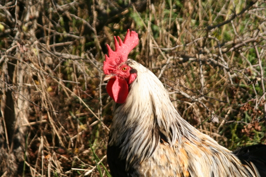 2006_10_16_059.JPG
