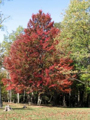 2005_10_12_134.JPG