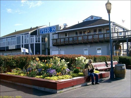 Pier 39 San Francisco
