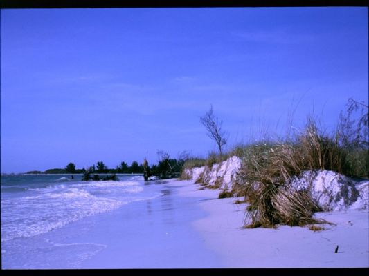 Ft. de Soto
