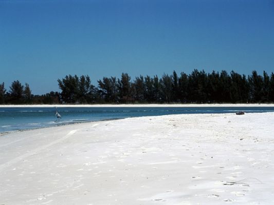 Ft. de Soto
