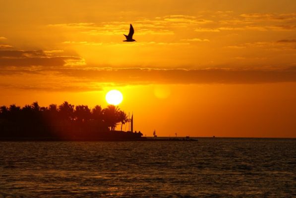 Sunset Key West
