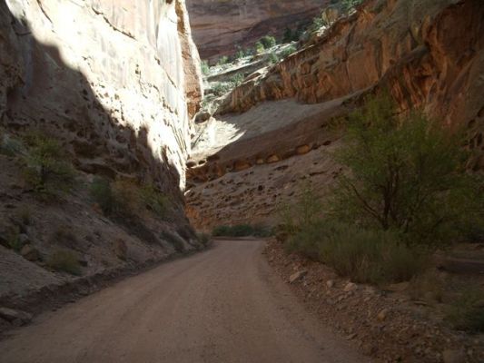 Capitol Reef N.P.
Loop Road

