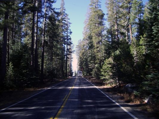 Yosemite N.P.
