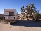 Joshua Tree NP