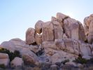 Joshua Tree NP
