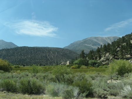 Img_0709~0.jpg