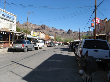 Img_1447.jpg