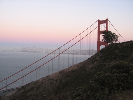Img_3100.jpg